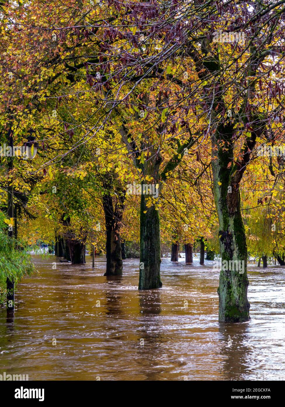 Graves inundaciones causadas por el río Derwent que revienta sus orillas En Hall Leys Park Matlock Derbyshire Peak District Inglaterra Reino Unido En noviembre de 2019 Foto de stock