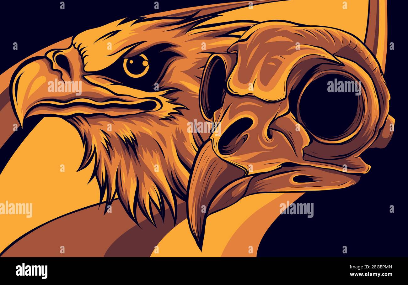 Cabeza de un águila y el cráneo vector ilustración Imagen Vector de stock -  Alamy