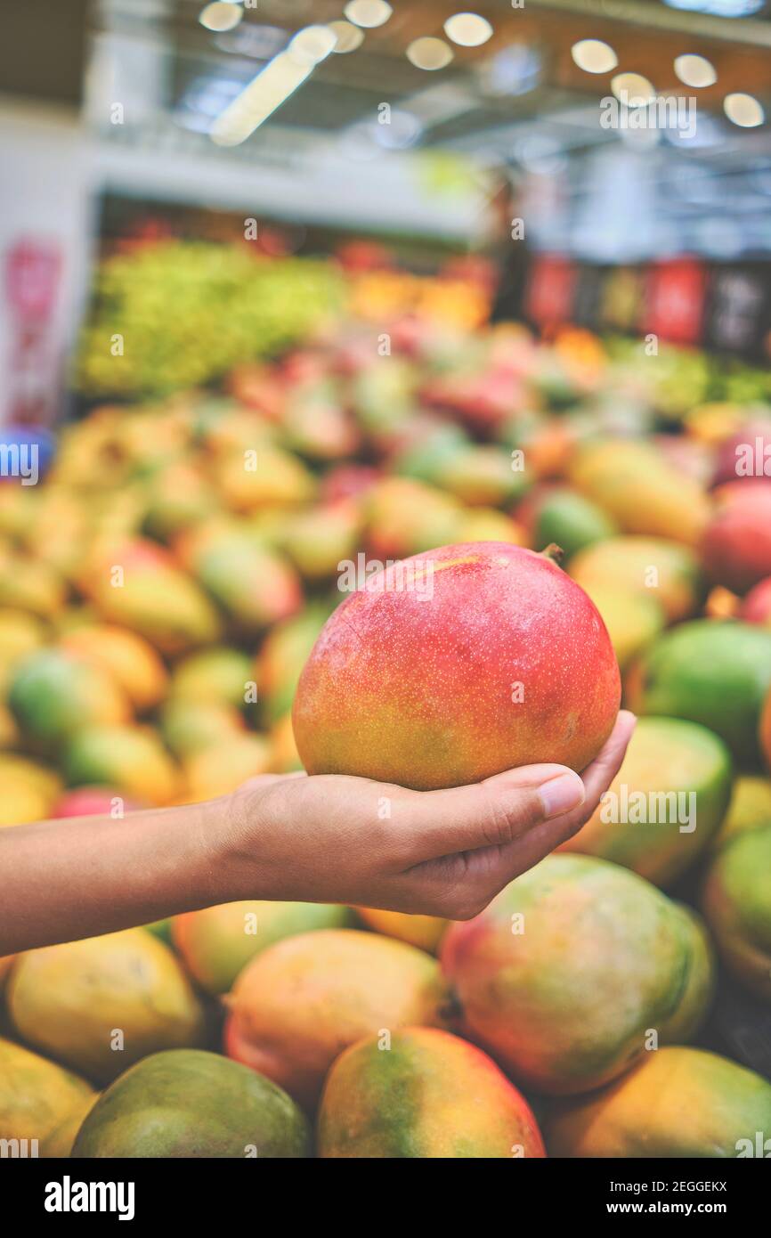 Mujer joven escogiendo Mango en la tienda de comestibles. Concepto de  alimentos saludables, bio, vegetariano, dieta Fotografía de stock - Alamy
