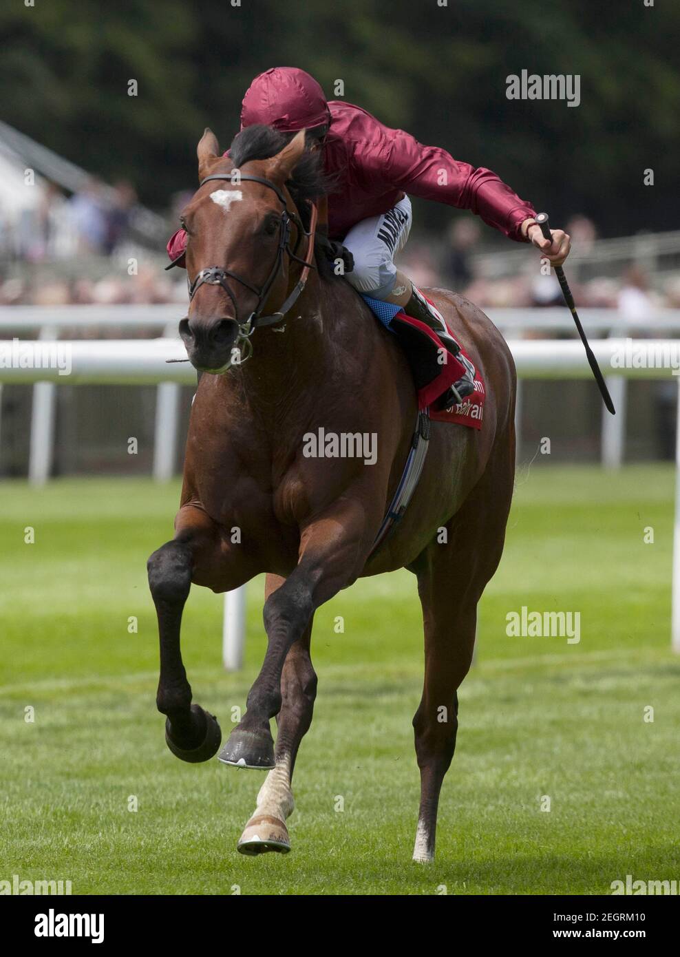 Carreras de caballos - Newmarket Festival de julio - Newmarket Racecourse - 12/7/12 Shantaram montado por William Buick gana el 13.20 la carrera de trofeos de Bahrein crédito obligatorio: Imágenes de acción / Julian Herbert Livepic Foto de stock