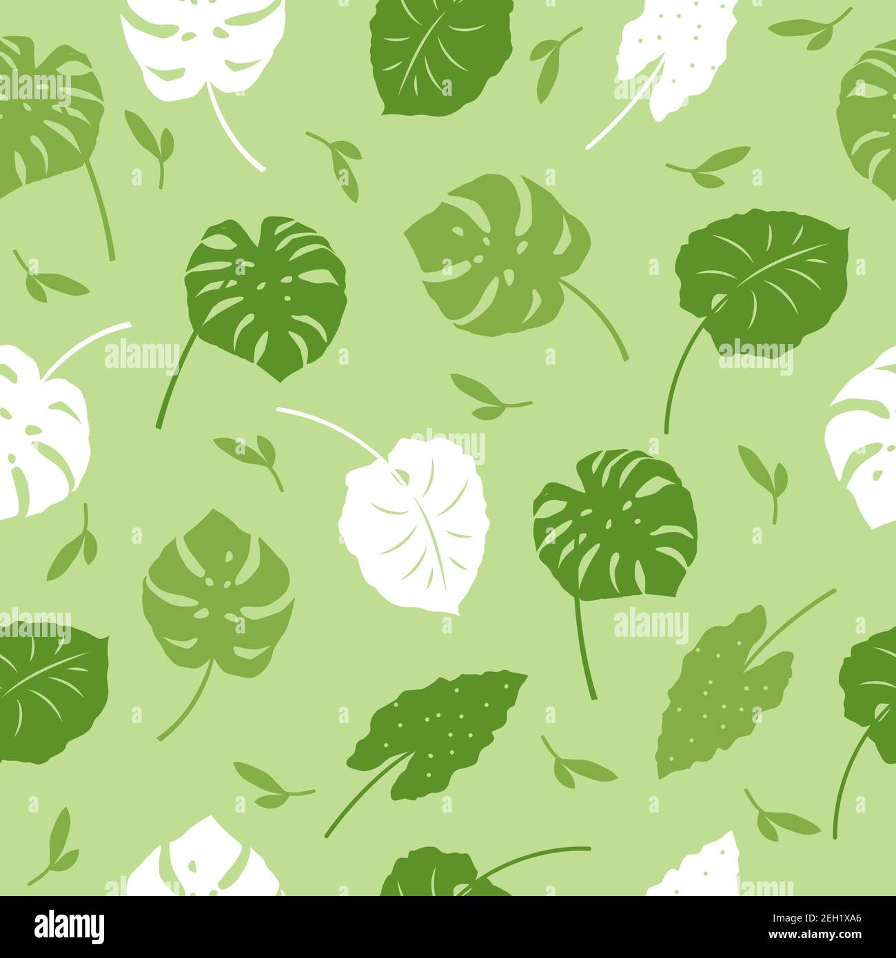 Vector patrón sin costuras de hojas tropicales, plantas, flores en verde  oscuro. Hermosa impresión con plantas exóticas. Diseño botánico de tejidos,  fondos de escritorio, para cosméticos naturales, perfumes, productos Imagen  Vector de