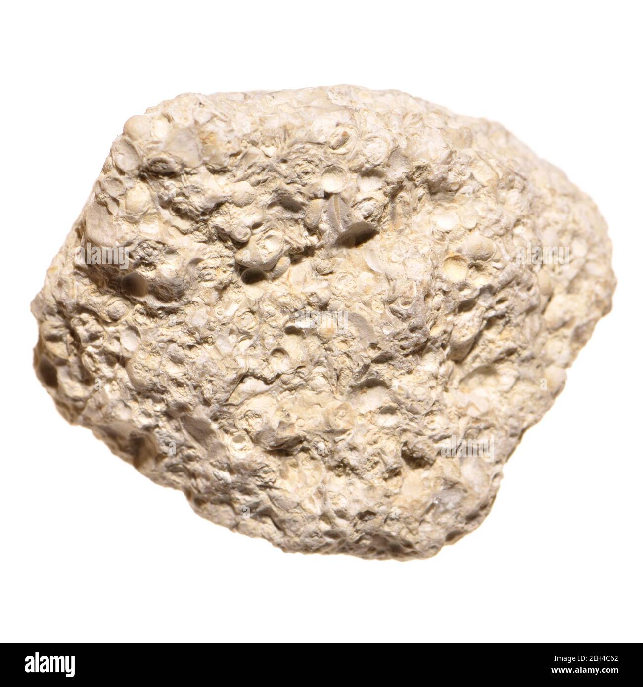 Granito Blanco (Reino Unido) Roca Igneosa que contiene sílice y cuarzo. Primer plano de una muestra pequeña Foto de stock