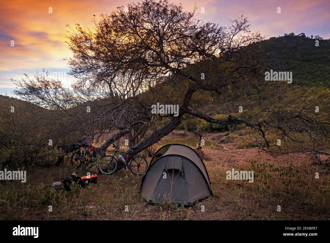 Camping salvaje con carpa de cúpula de trekking y dos bicicletas de excursionistas aventureros en el Altiplano / Meseta Andina en la Cordillera de los Andes, Bolivia Foto de stock