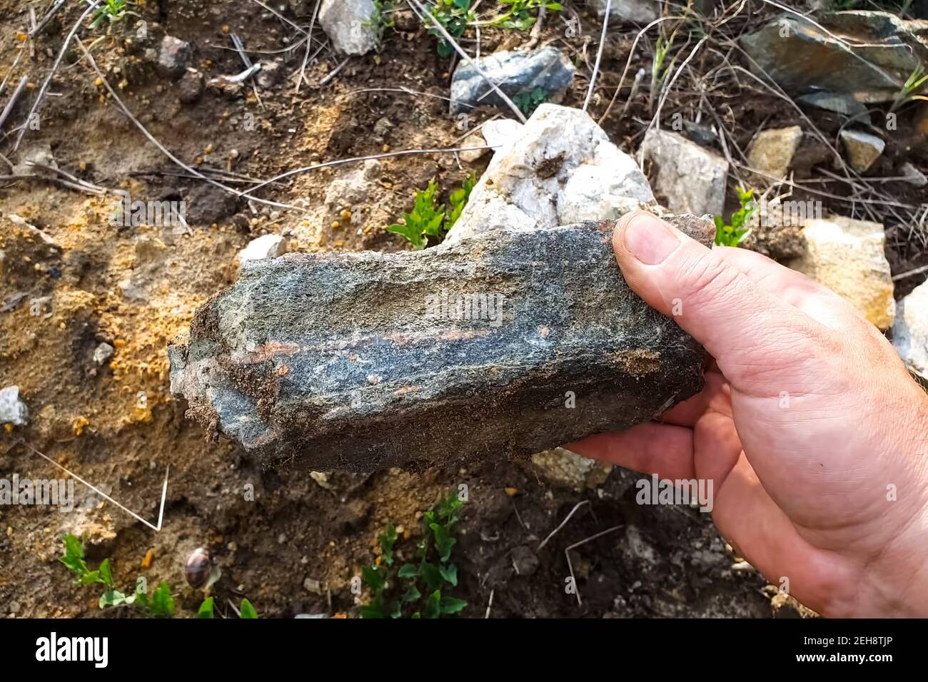 piedra de roca que contiene oro. La mano de un hombre y una piedra  Fotografía de stock - Alamy