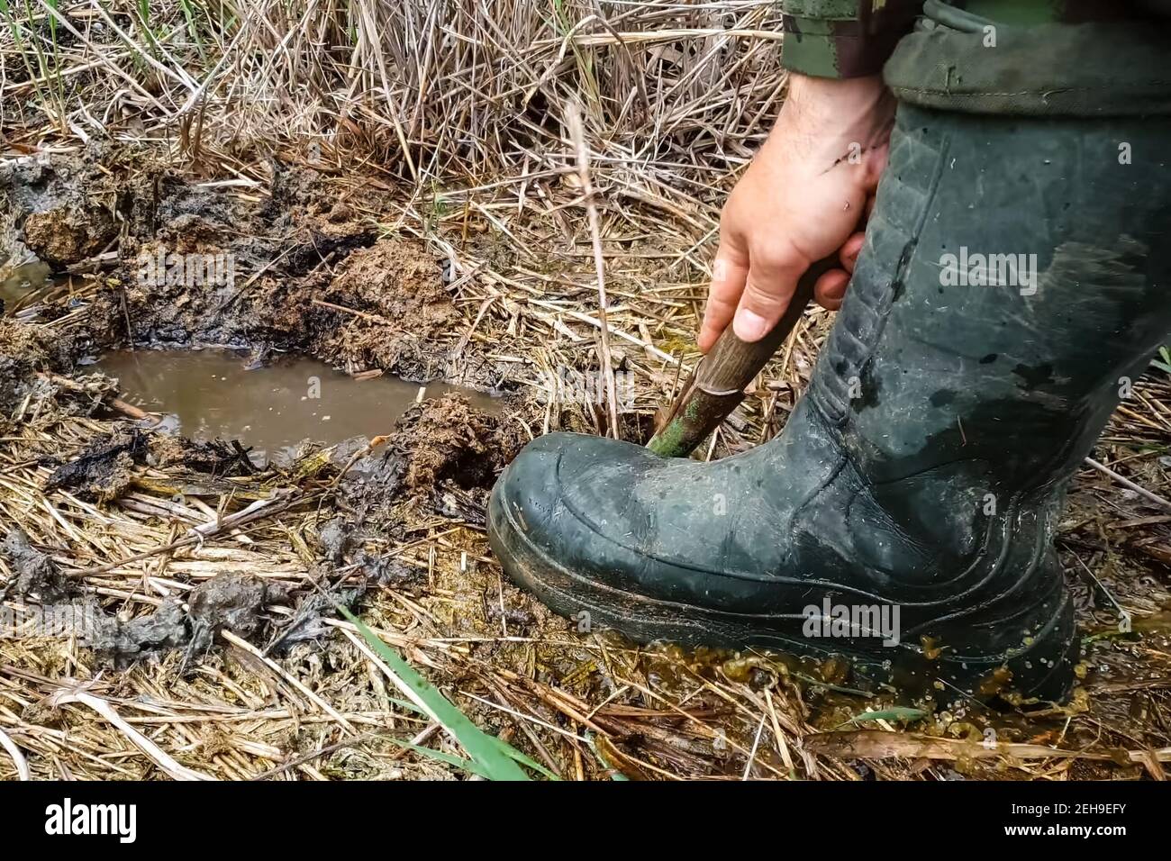 Un hombre con botas de goma digiera un hoyo de pala en un pantano.  Encontrar agua Fotografía de stock - Alamy