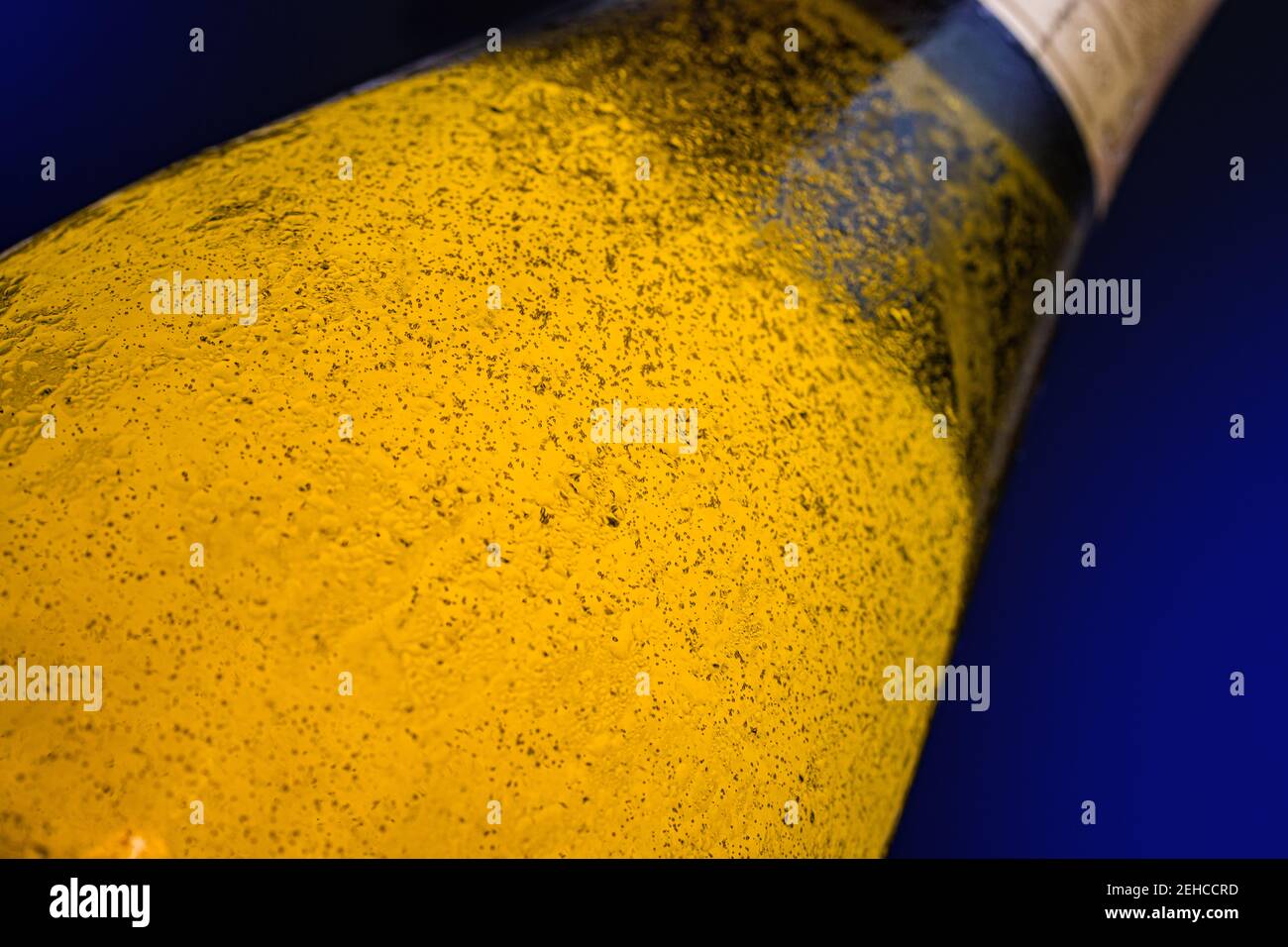 Una bebida alcohólica sobre un fondo azul negro. El vino espumoso dorado en una botella iluminada, de cerca. Foto de stock