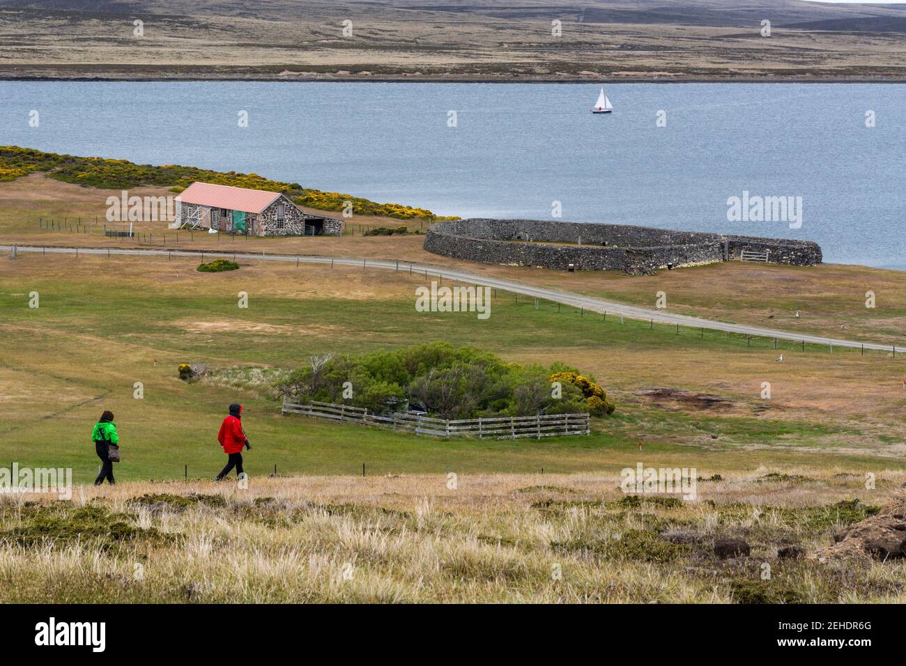 El asentamiento de Darwin en las Islas Malvinas (Falkland) orientales. Foto de stock