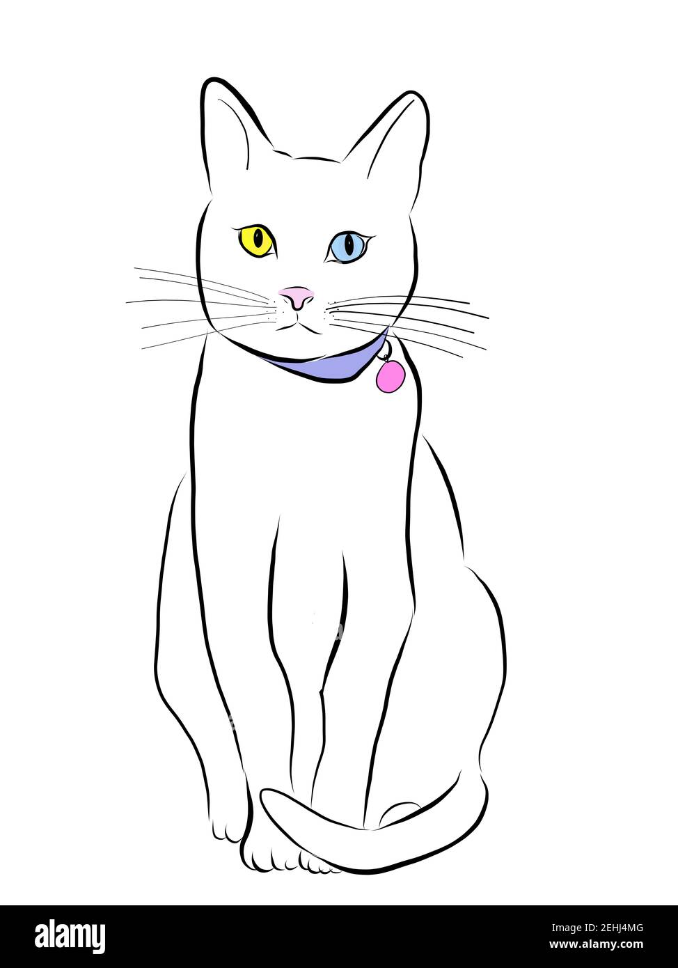 Dibujo de un gato blanco con heterocromia, ojos impares, aislado en blanco  mirando directamente al espectador. Cuello con collar de ID sin texto  Fotografía de stock - Alamy