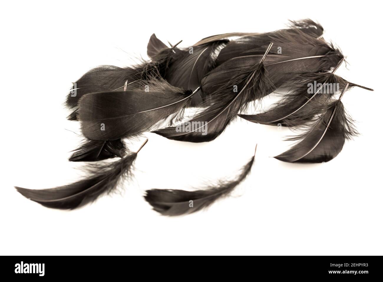 Plumas negras sobre fondo blanco Fotografía de stock - Alamy