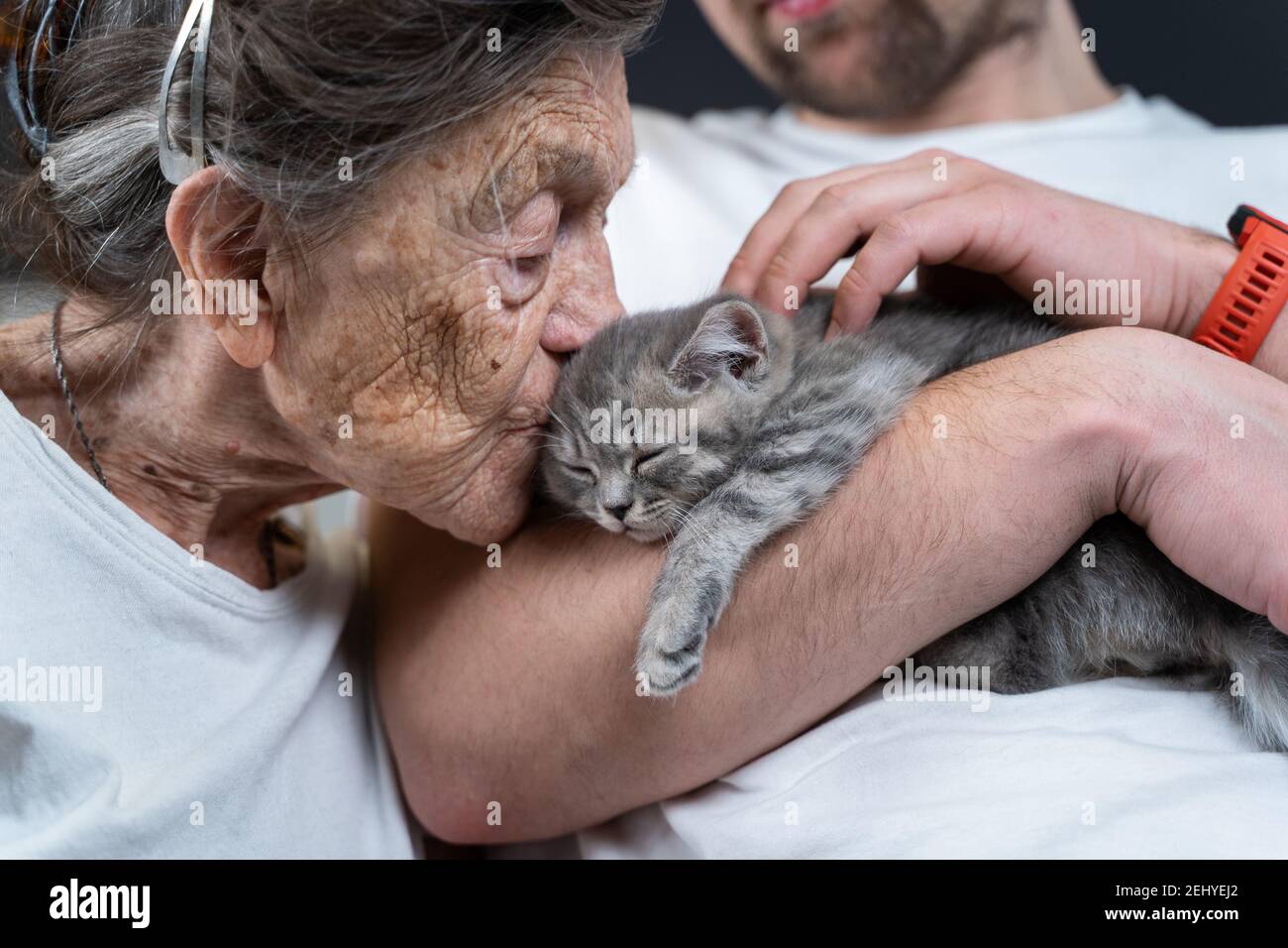 Gatos besándose fotografías e imágenes de alta resolución - Alamy