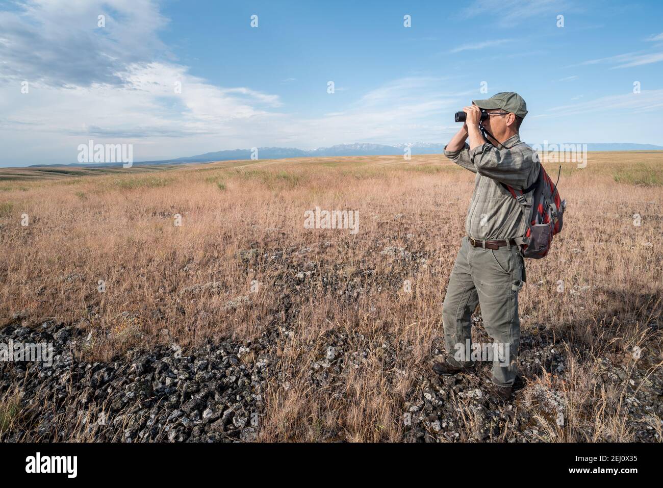 Jeff Fields, Gerente de Programa de la Reserva Zumwalt Prairie de TNC, mirando hacia la pradera, Oregon. Foto de stock