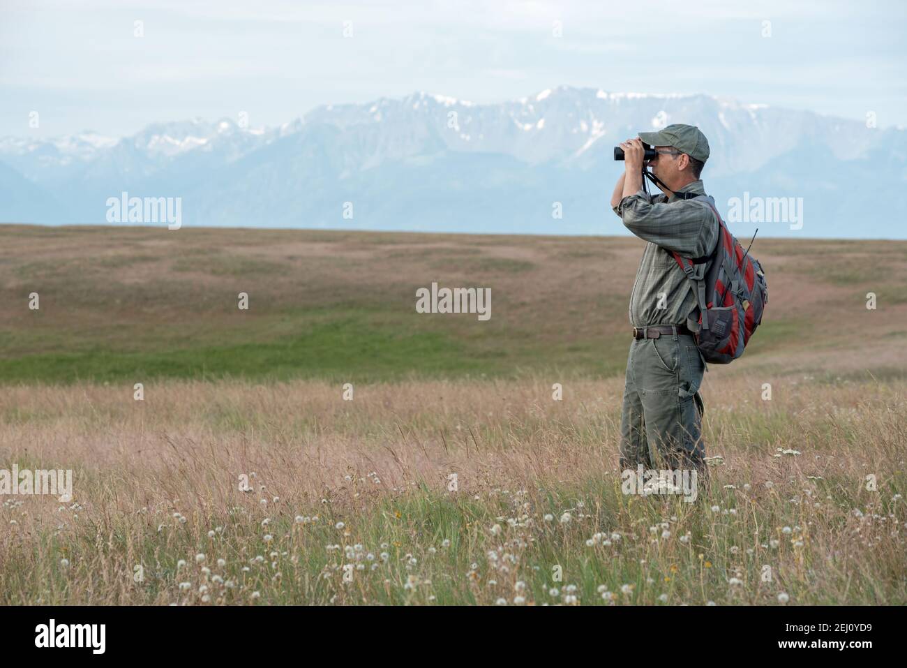 Jeff Fields, Gerente de Programa de la Reserva Zumwalt Prairie de TNC, mirando hacia la pradera, Oregon. Foto de stock