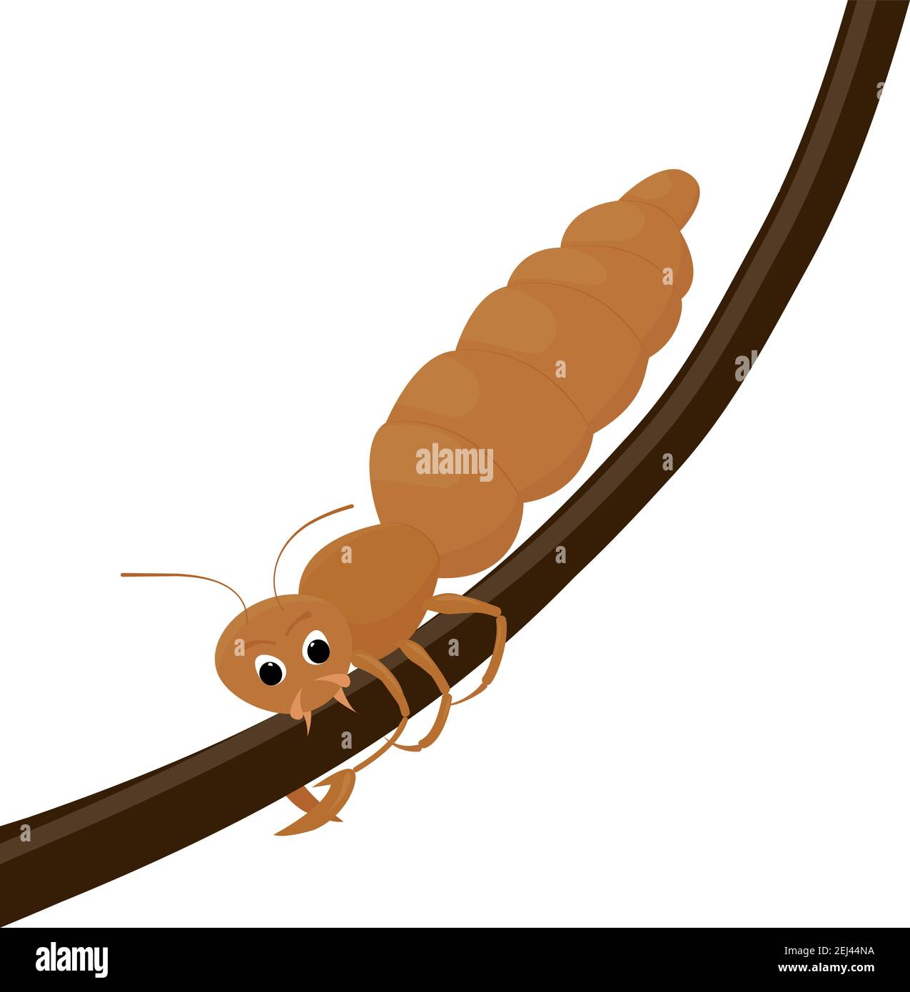 Piojo de dibujos animados sobre el cabello humano aislado sobre fondo  blanco. Ilustración de insectos parásitos vectoriales Imagen Vector de  stock - Alamy