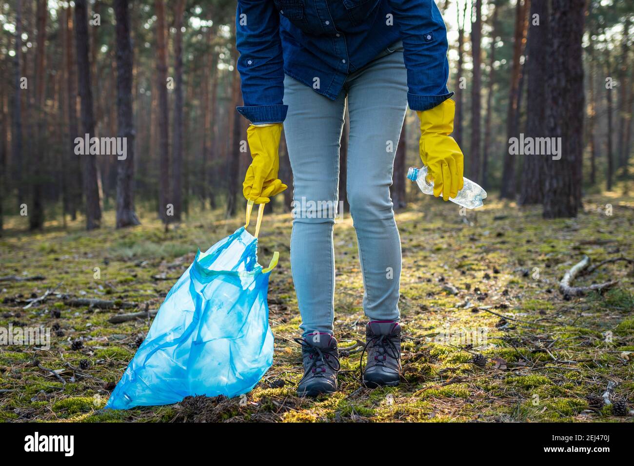 Voluntario está limpiando el bosque de la contaminación plástica. ¡haga nuestro planeta verde y limpio! Concepto de conservación ambiental Foto de stock