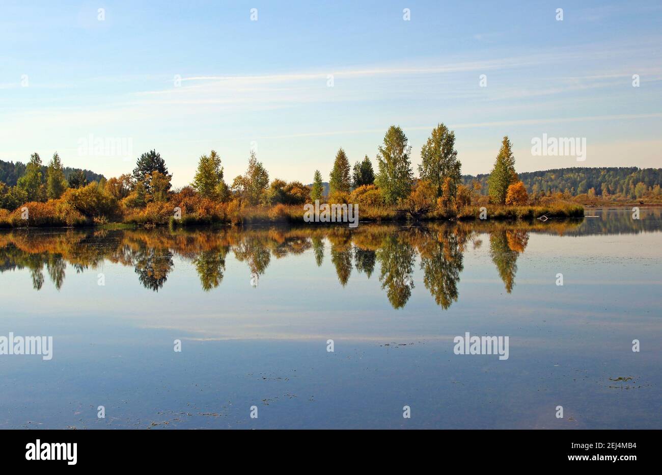 La superficie del espejo del lago refleja los arbustos amarillos de la costa y el cielo azul-blanco. Foto de stock