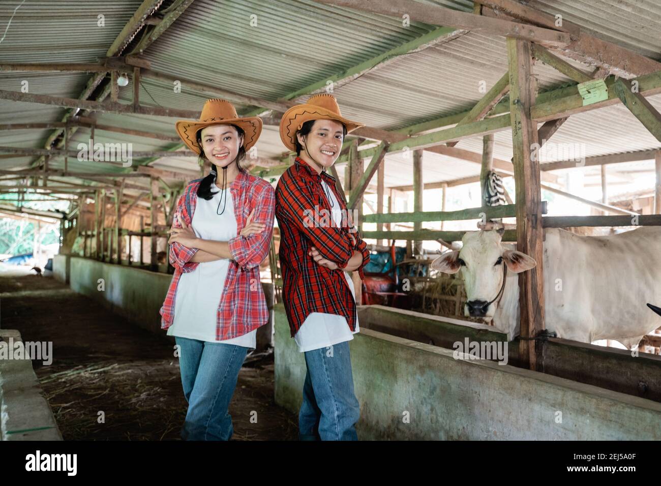 un niño sonriente y una chica con un sombrero se levantan para volver en las manos cruzadas pose en una vaca granja estable Foto de stock