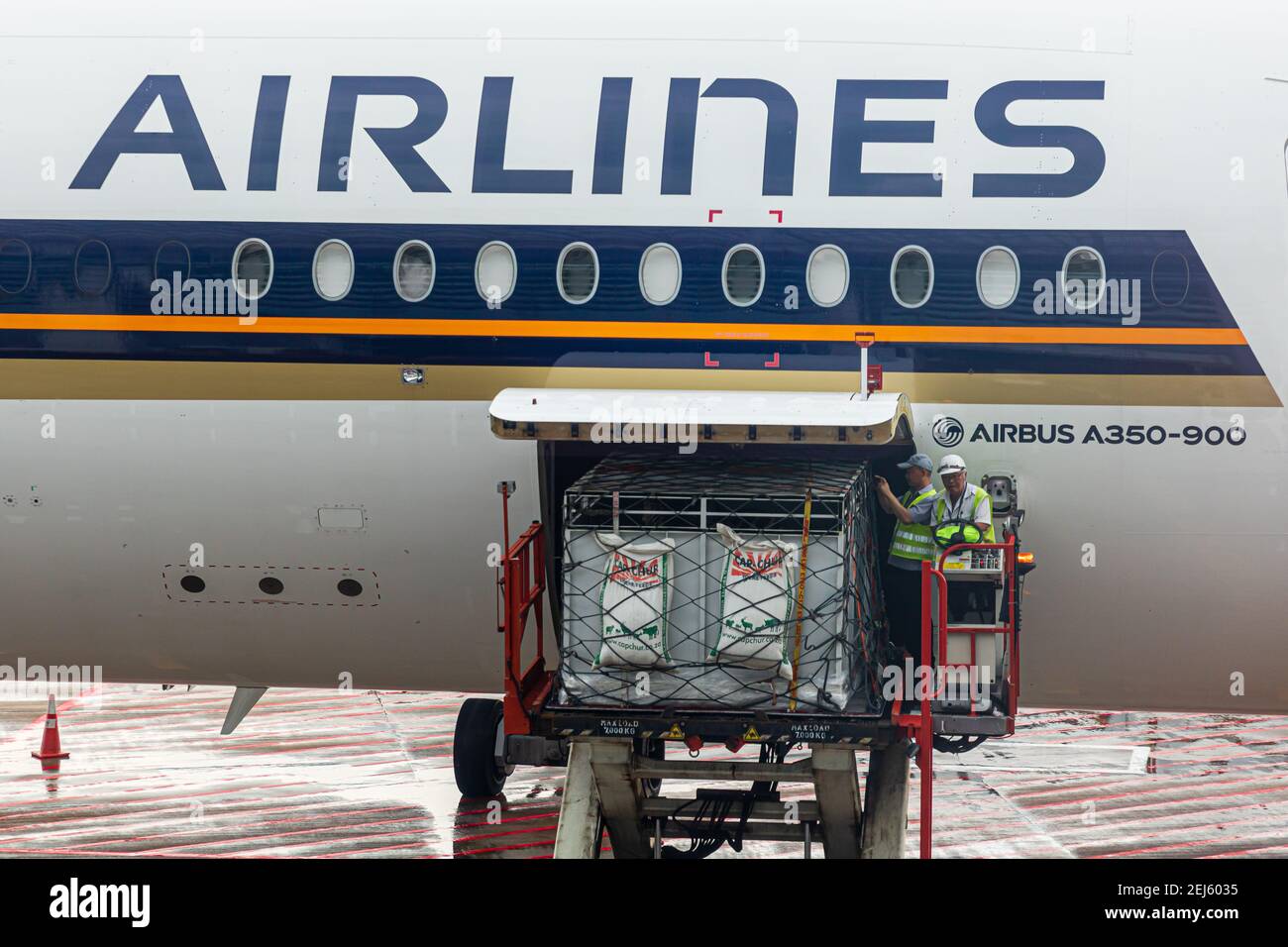 Un cargador ULD que eleva un dispositivo de carga de unidad (ULD) con Zebras vivas a la bahía de carga de un avión de una máquina de Singapore Airlines en Changi Intern. Aeropuerto Foto de stock