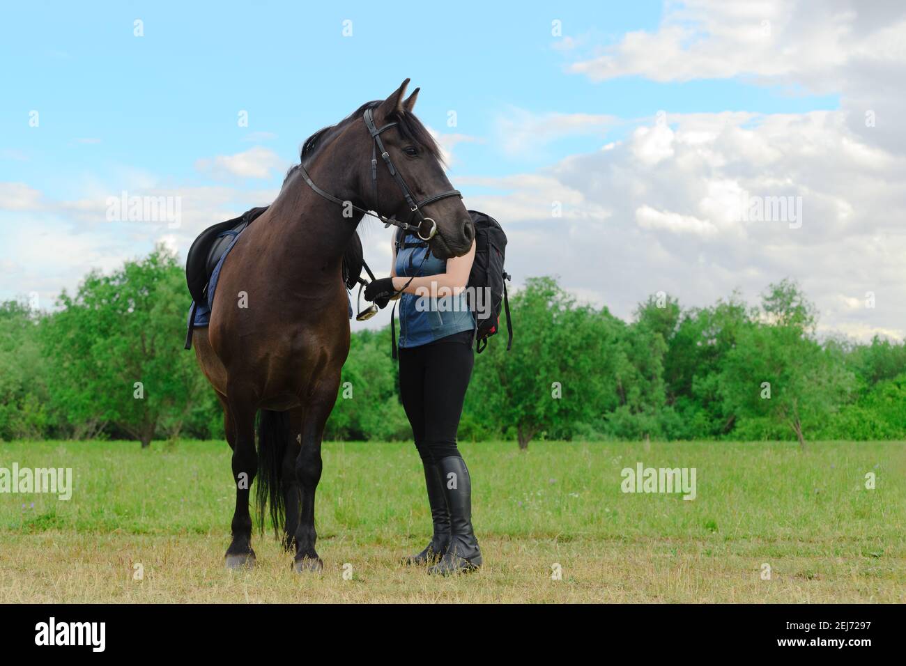 El jinete de caballo caucásico está de pie junto a su yegua y ajustando el estribo de silla. Foto de stock