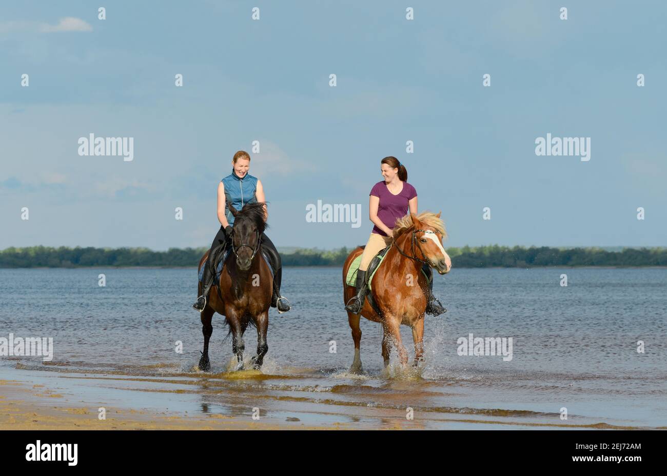 Dos mujeres están montando a caballo en el agua. Dos jinete de la mujer riendo están montando a caballo en el aire libre. Foto de stock