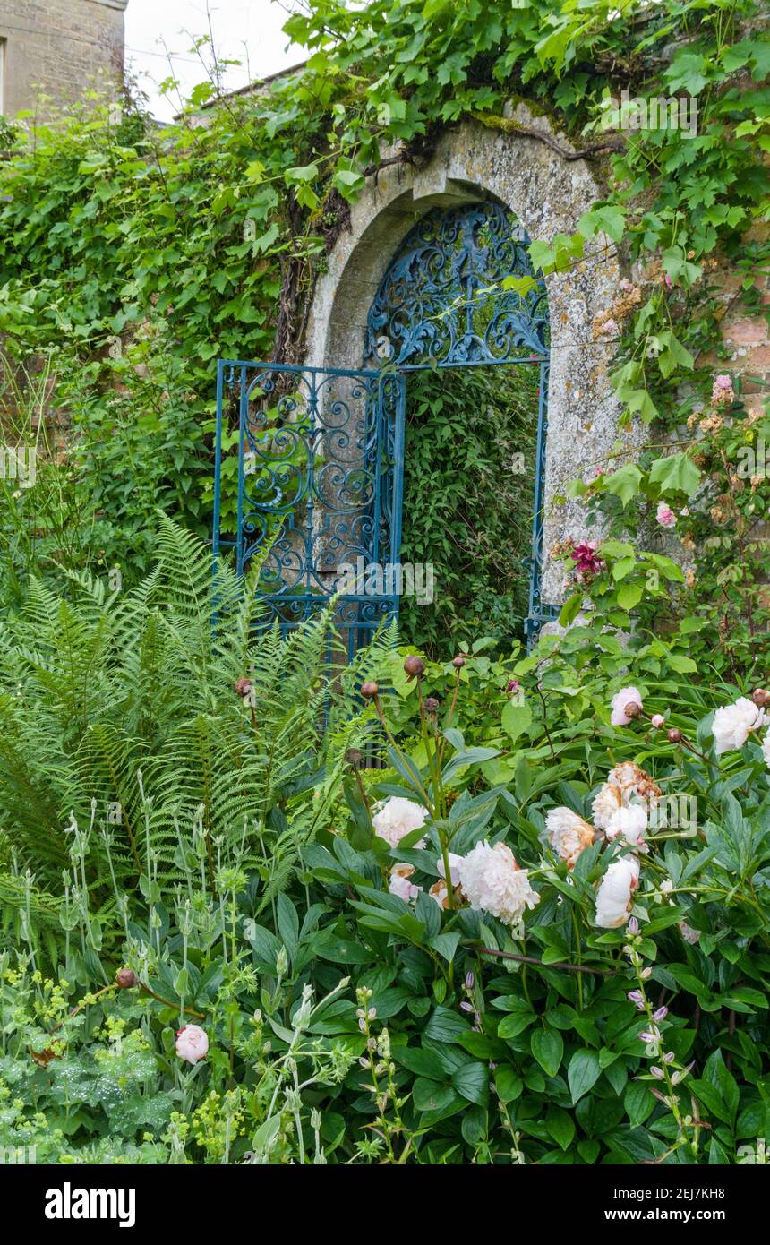 Jardines en Rousham House, Oxfordshire, Reino Unido; arco y plantación dentro del Jardín amurallado. Foto de stock