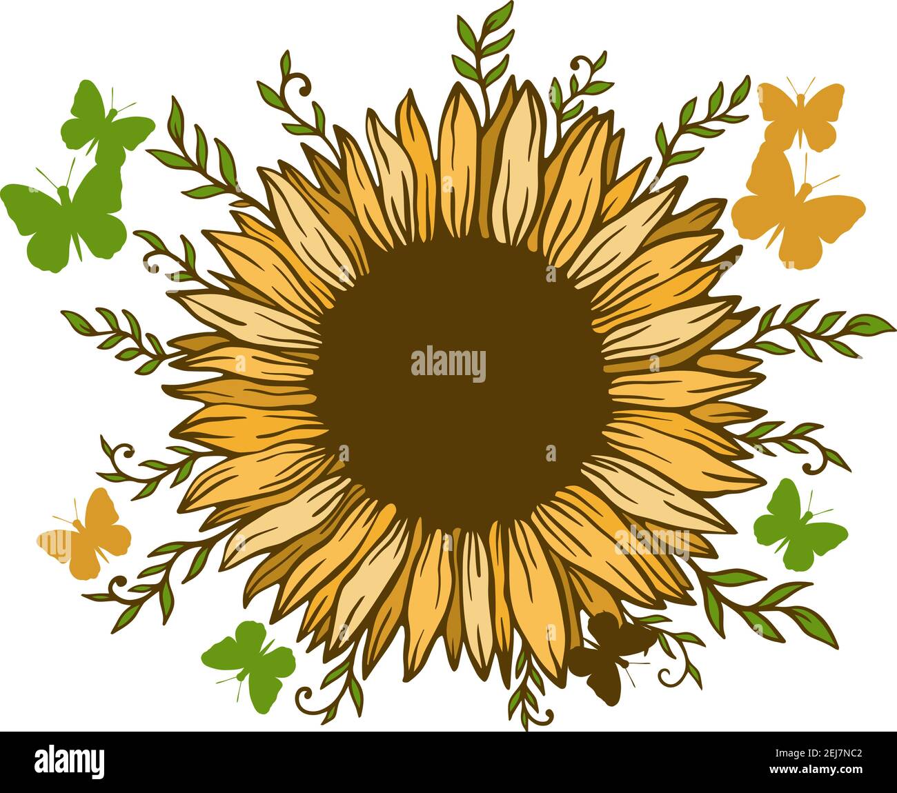 Girasol floral naturaleza planta.flor de verano aislado en fondo blanco.flor silvestre botánica. Ilustración del Vector