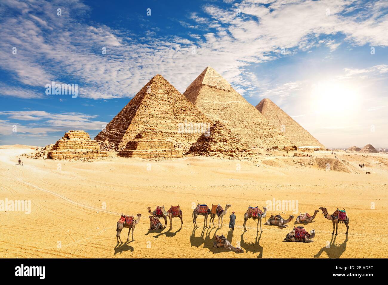 Caravana amel descansando cerca de las Pirámides de Egipto en el desierto, Giza Foto de stock