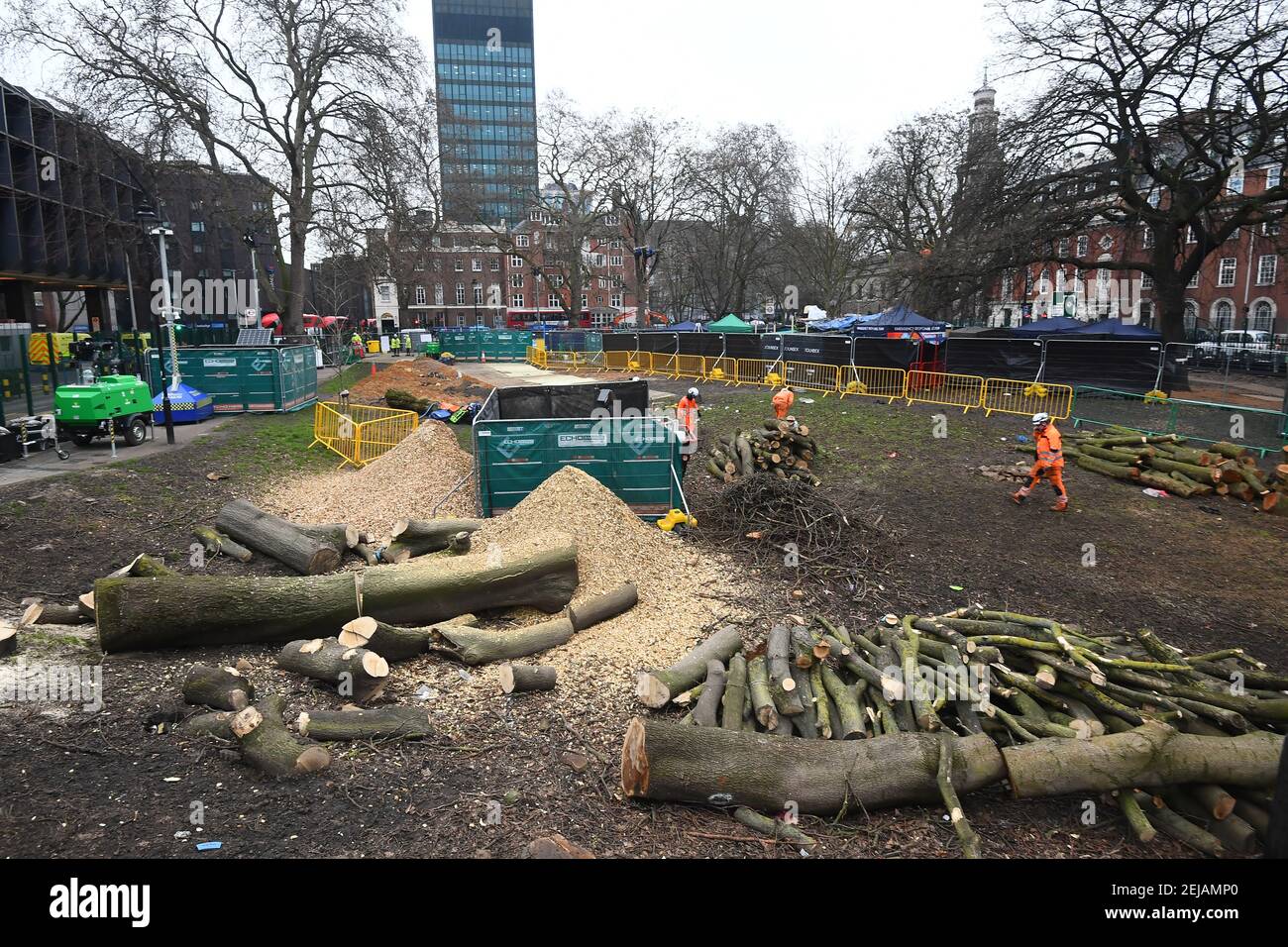 Los trabajadores despejan los árboles talados junto al campamento anti-HS2 en Euston Square Gardens, Londres. Fecha del cuadro: Lunes 22 de febrero de 2021. Foto de stock