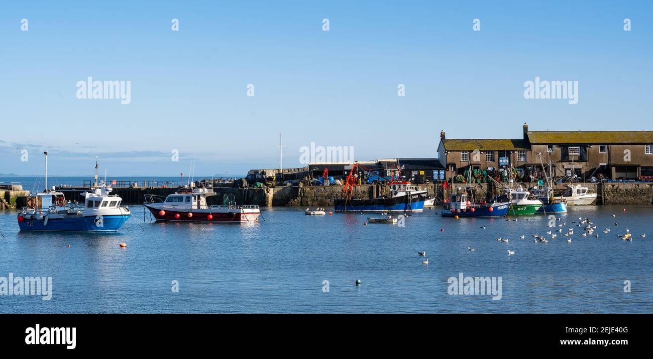 Lyme Regis, Dorset, Reino Unido. 22 de febrero de 2021. El tiempo en el Reino Unido: El glorioso sol de primavera y el cielo azul claro en la estación costera de Lyme Regis. Crédito: Celia McMahon/Alamy Live News Foto de stock