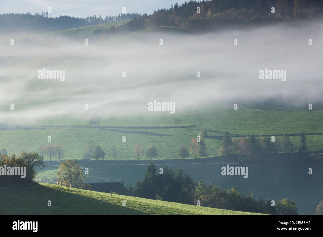 Niebla matutina en el valle durante el otoño, Horben, Selva Negra, Baden-Wurttemberg, Alemania Foto de stock