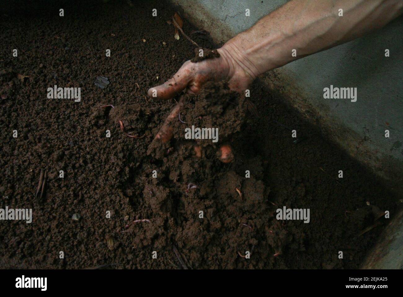 Granja de gusanos fotografías e imágenes de alta resolución - Página 11 -  Alamy