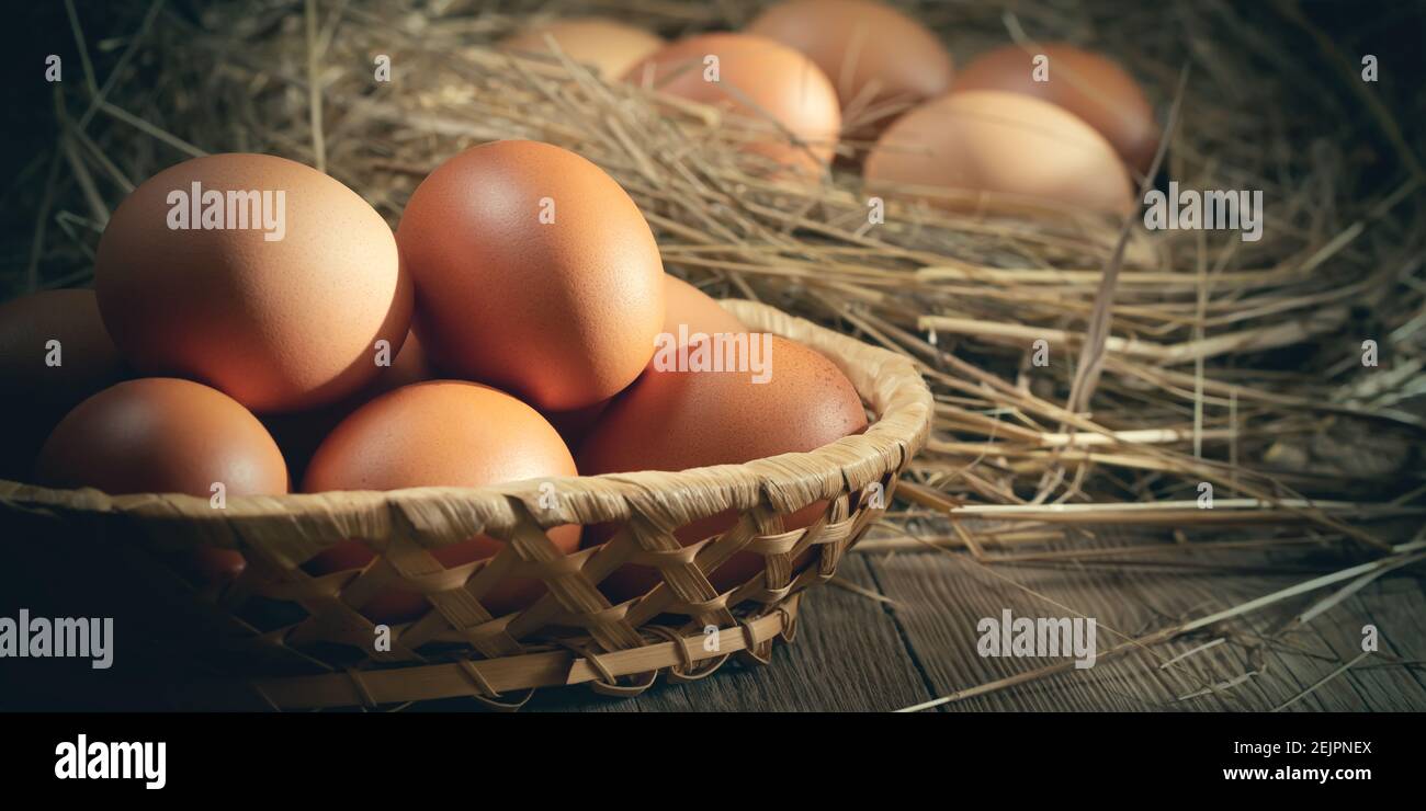 Huevos frescos de pollo en una cesta y en un nido de heno en un granero. Foto de stock