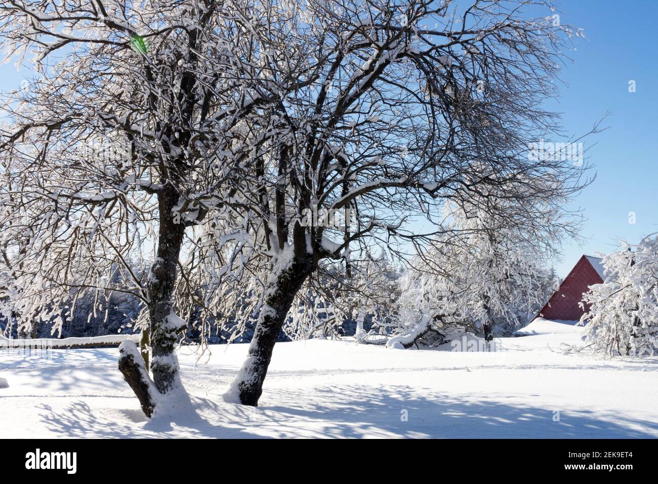 Paisaje pintoresco cubierto de nieve invierno pintoresco Foto de stock