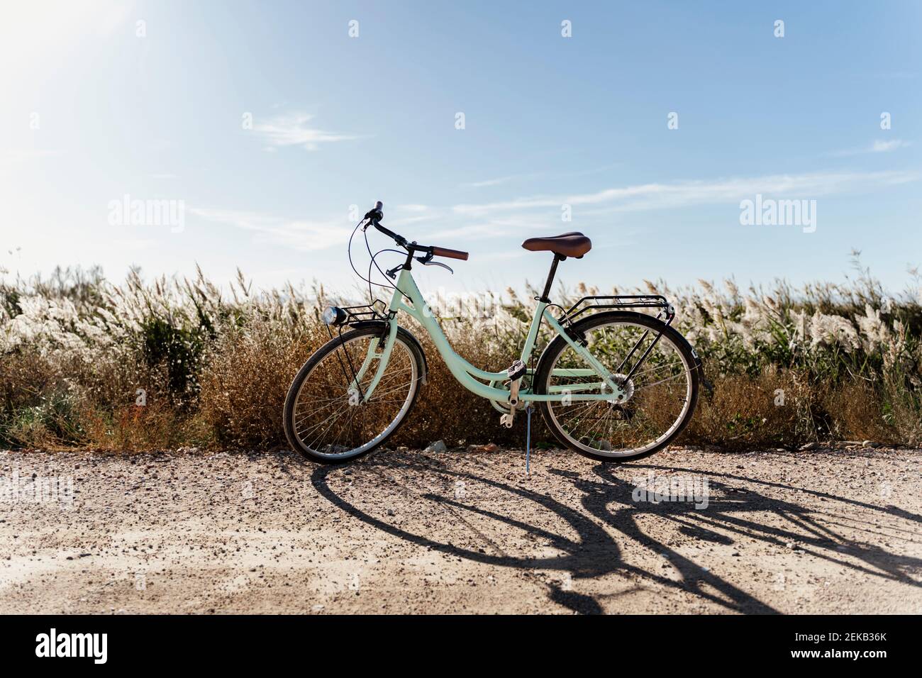 Bicicleta estacionada cerca del campo de arroz contra el cielo en el Delta del Ebro en el día soleado, España Foto de stock