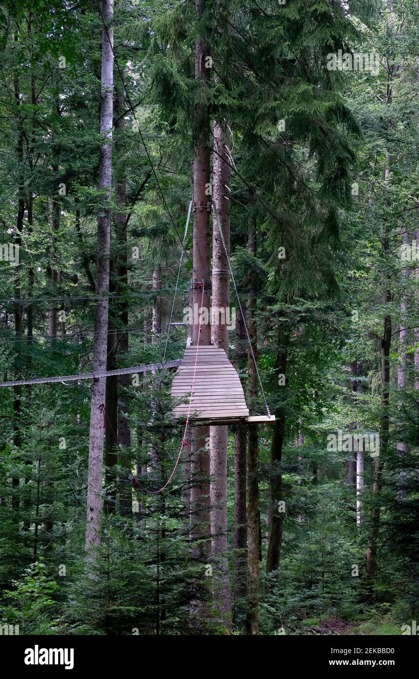 Curso de cuerdas altas en bosque de aventura Foto de stock