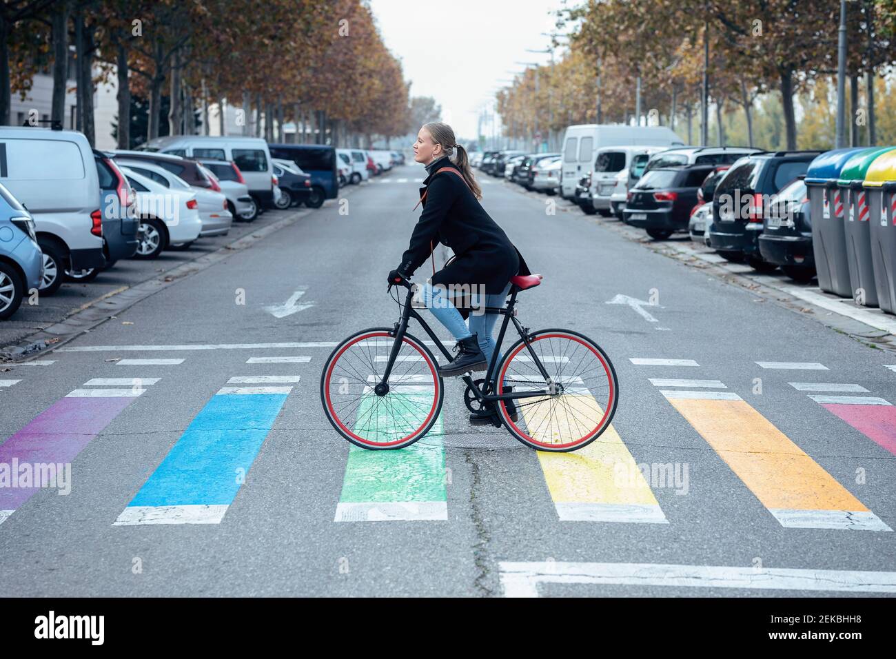 Mujer en bicicleta en el cruce de zebra multicolor Foto de stock