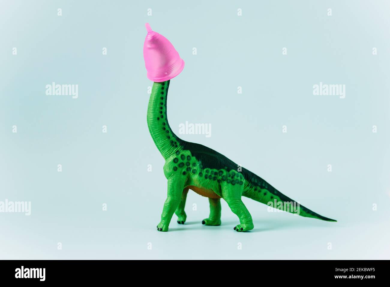Diplodocus dinosaurio juguete con copa menstrual rosa en la cabeza sobre  fondo verde menta Fotografía de stock - Alamy