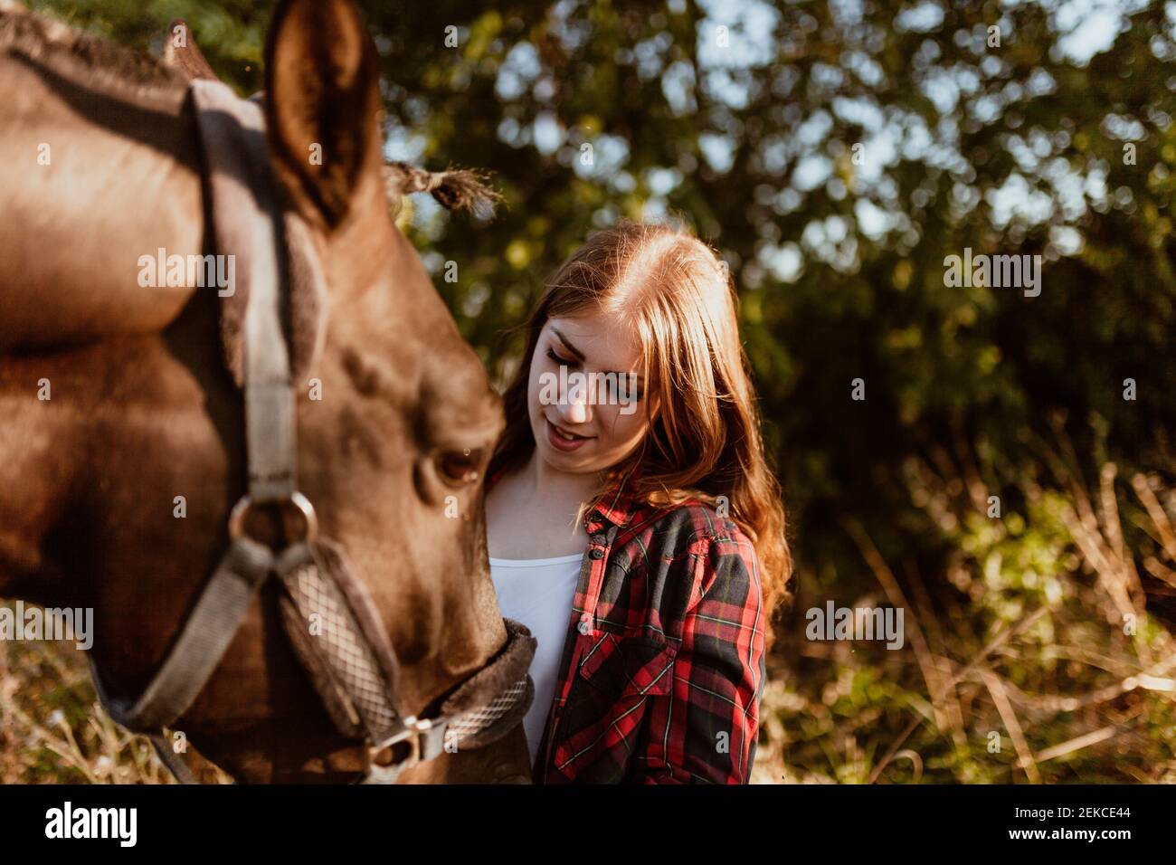 Mujeres jóvenes mirando a caballo en la granja durante el día soleado Foto de stock