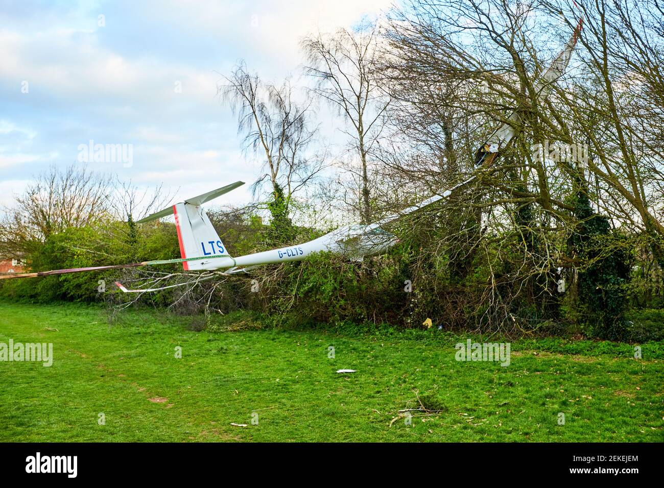 Vista general de un planeador Schempp-Hirth Arcus T después de que se estrelló en los árboles en el Parque de Caversfield cerca de Bicester. El piloto escapó sin heridos. Foto de stock