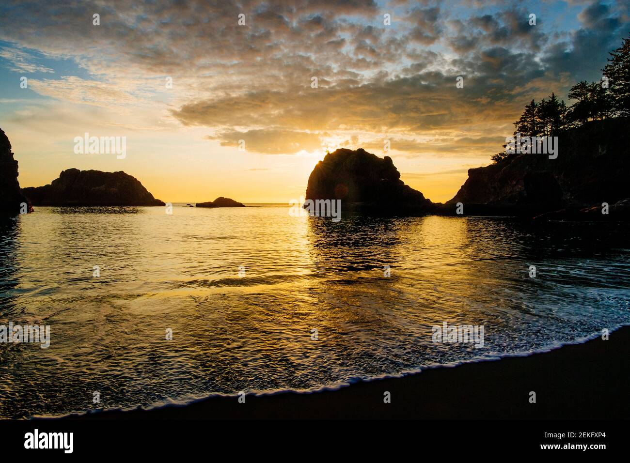 Costa del mar al atardecer, Parque Estatal Samuel H. Boardman, Brookings, Oregon, Estados Unidos Foto de stock