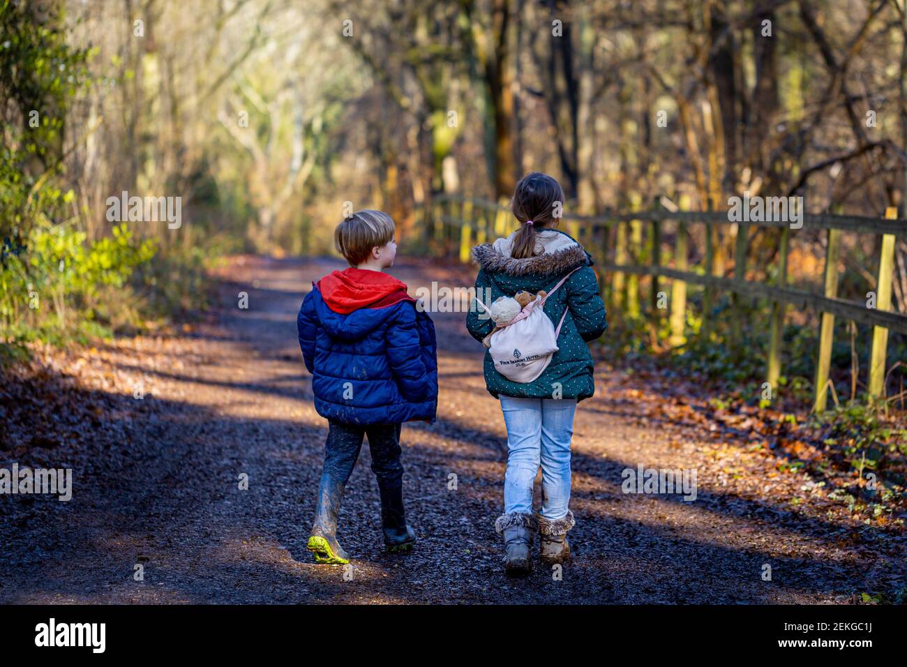 Niños en un paseo por el bosque en invierno en el sur de Oxfordshire, Reino Unido Foto de stock