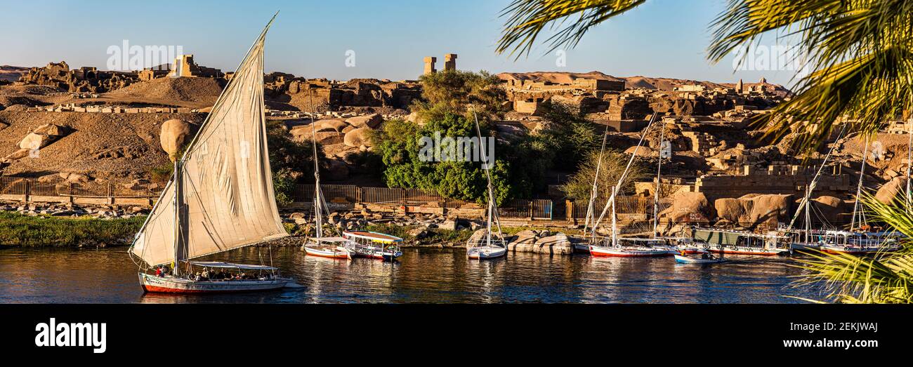 felucca velero en el río Nilo en Asuán, Egipto Foto de stock