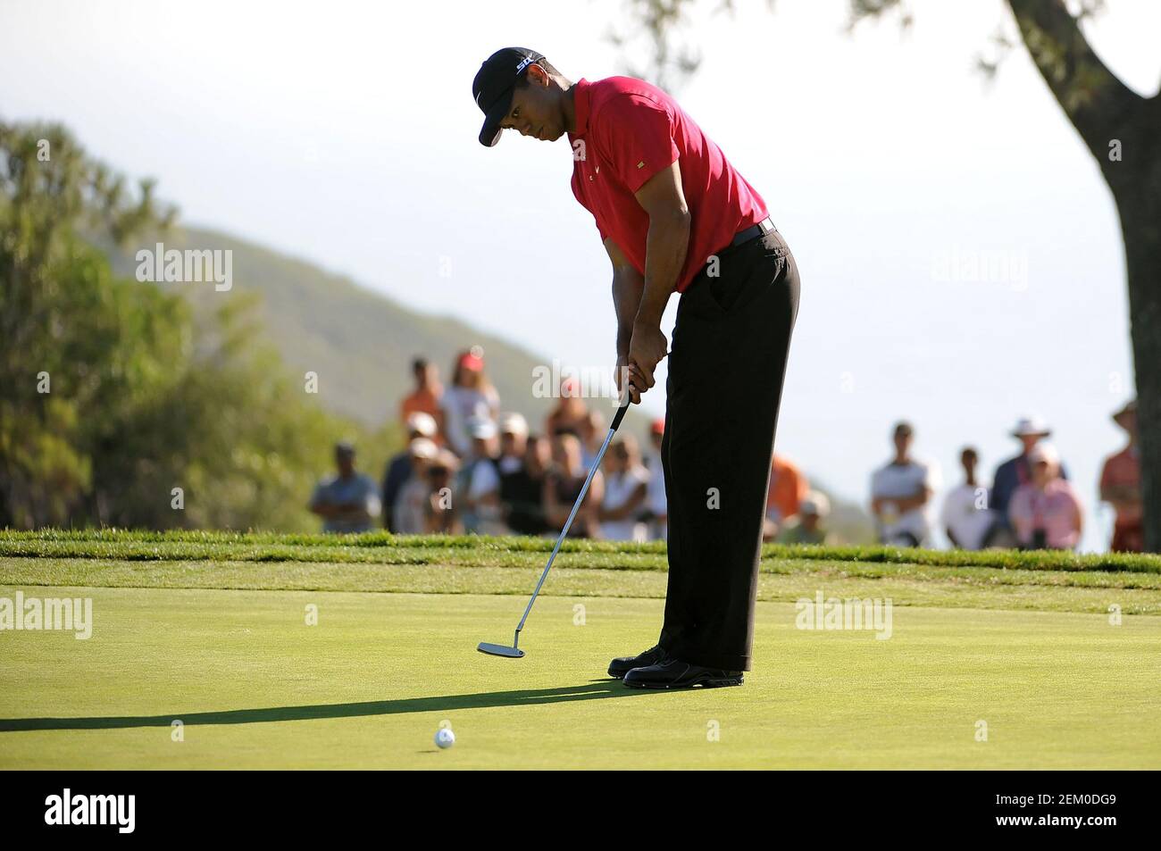 San Diego, CA. 15 de junio de 2008. Tiger Woods (EE.UU.) en el verde del domingo 16 hoyos durante la ronda final del US Open en el campo de golf Torrey Pines en la Jolla, California. Louis Lopez/Cal Sport Media. Crédito: csm/Alamy Live News Foto de stock