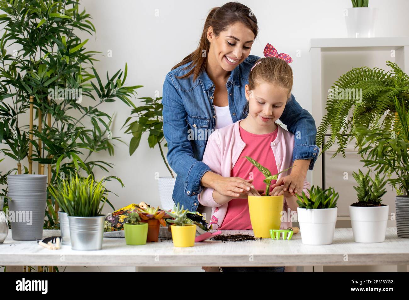 Dos hermanas, mayores y más jóvenes, divertirse mientras macetas alguna  planta en suelo fresco, planta de macetas concepto Fotografía de stock -  Alamy