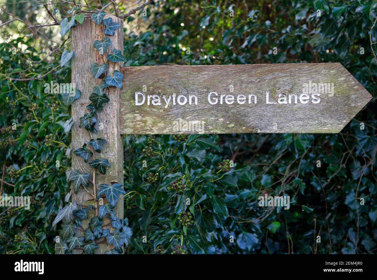 Un fingerpost que indica la dirección a lo largo de un derecho público de paso en Drayton Green Lanes por el río Wensum en Drayton, Norfolk, Inglaterra, Reino Unido. Foto de stock