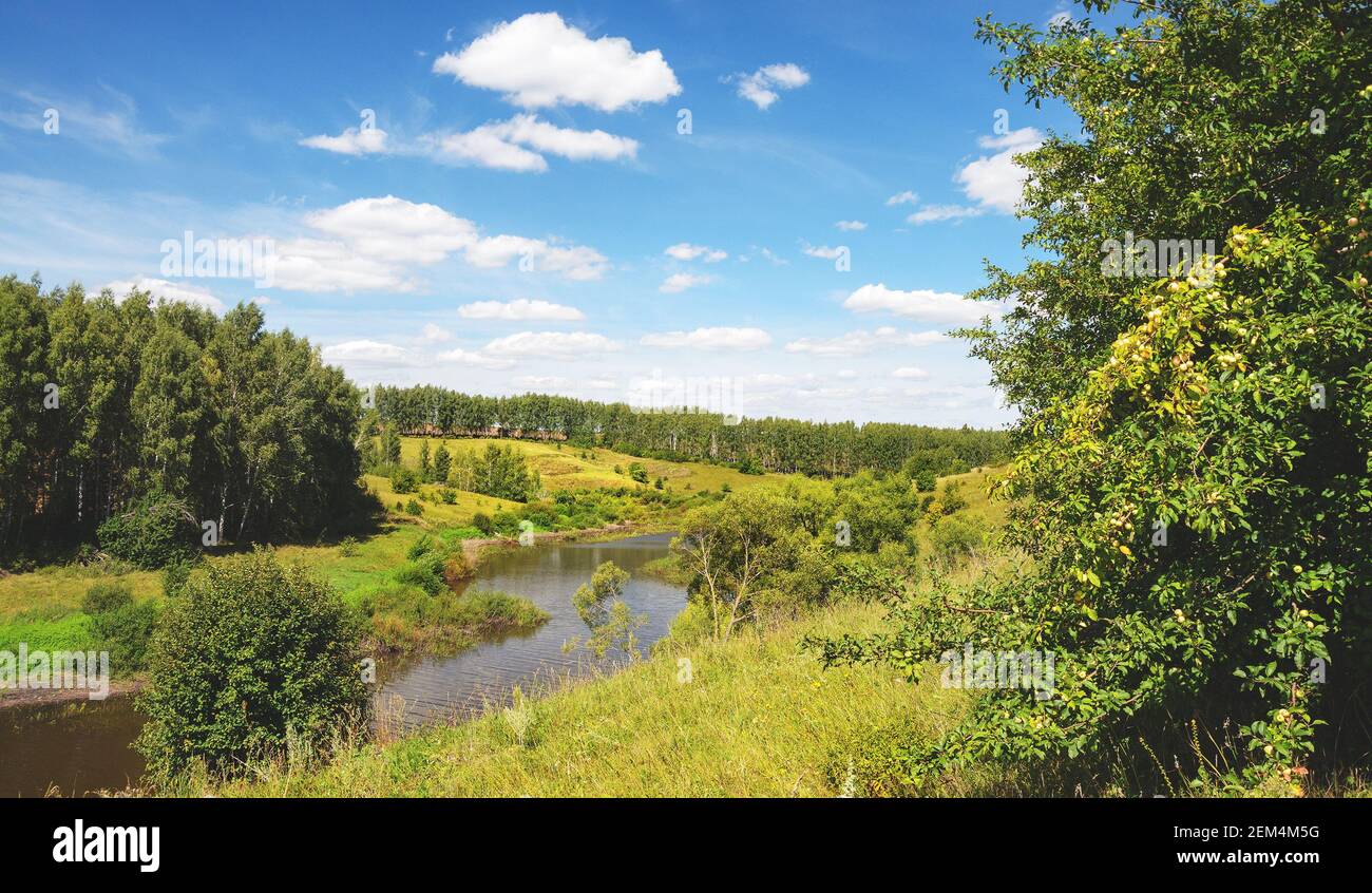Soleado paisaje veraniego con verdes colinas, río y hermosos bosques durante el agradable día de julio. Foto de stock