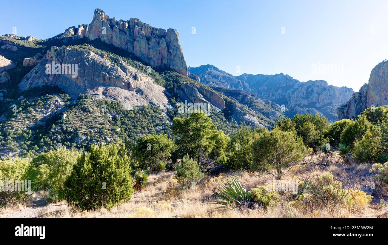 Cave Creek Canyon, Chiricahua Mountains, vistas desde el Silver Peak Trail, Portal, sureste de Arizona, Estados Unidos Foto de stock