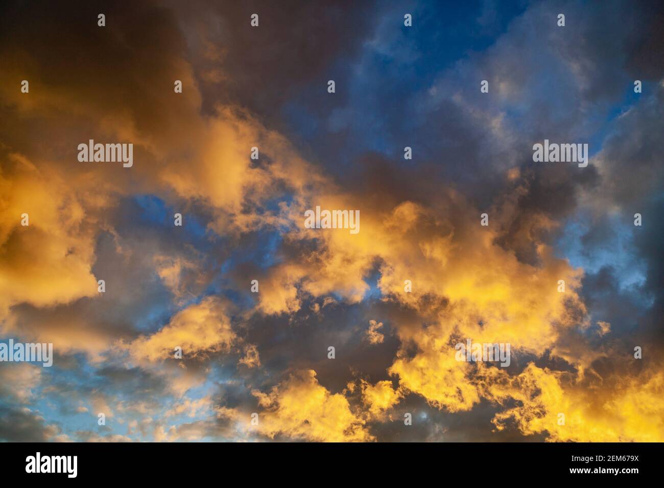 Cerca del cielo de la puesta de sol con nubes doradas de la noche y un poco de cielo azul. Foto de stock