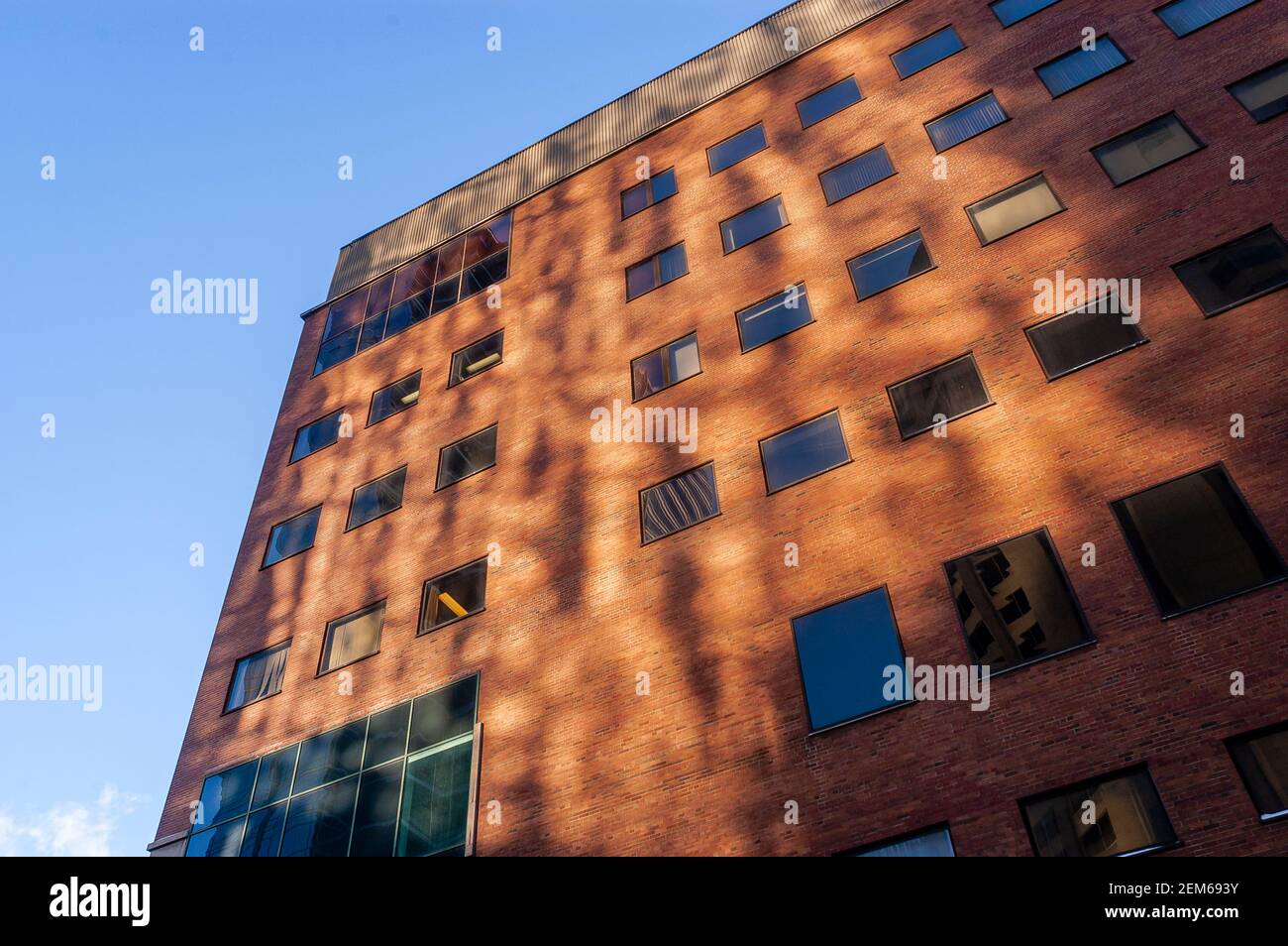Detalles arquitectónicos de la fachada del edificio con interesante luz. Foto de stock