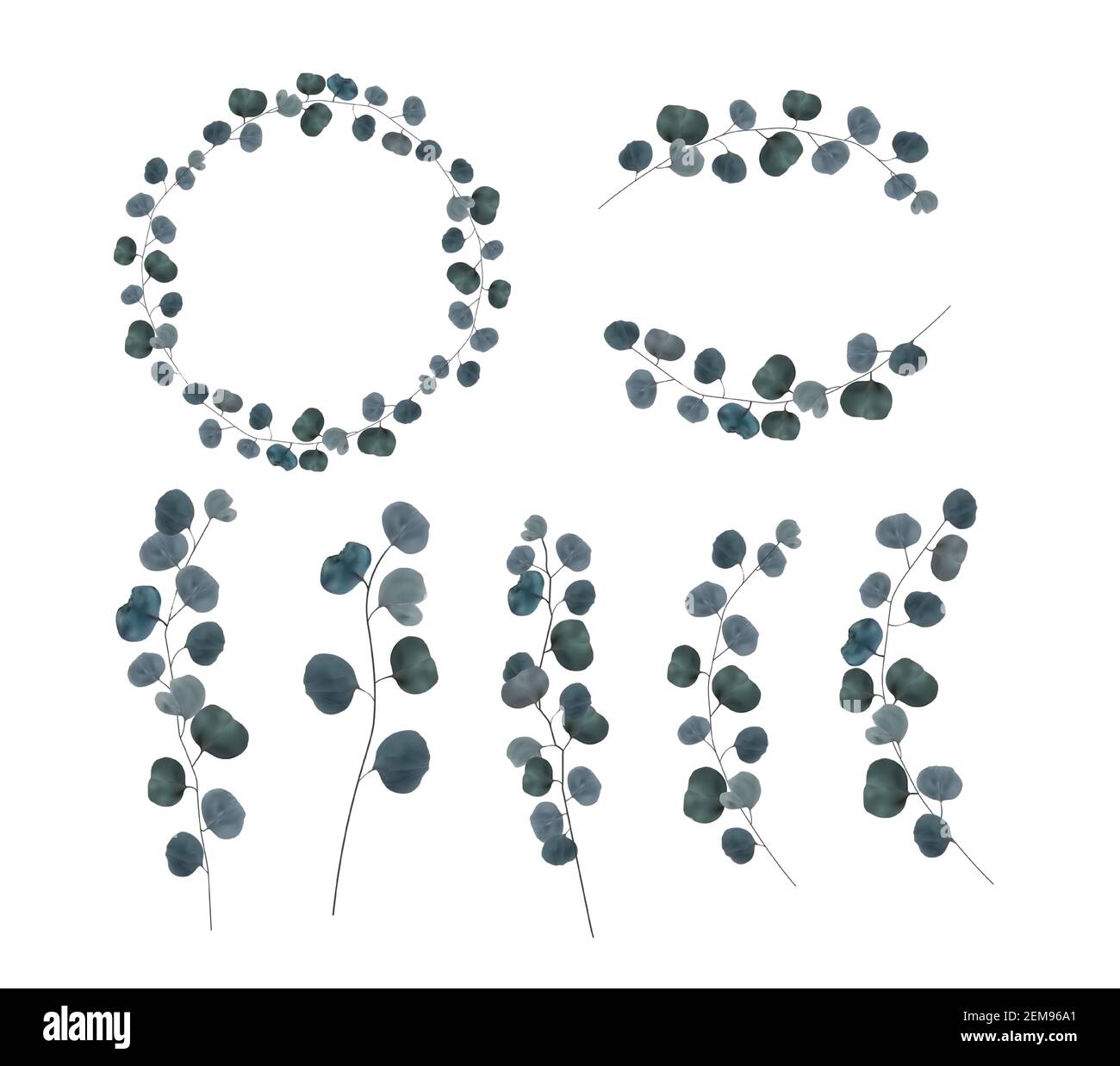 Colección conjunto de ramas naturales realistas hojas de eucalipto