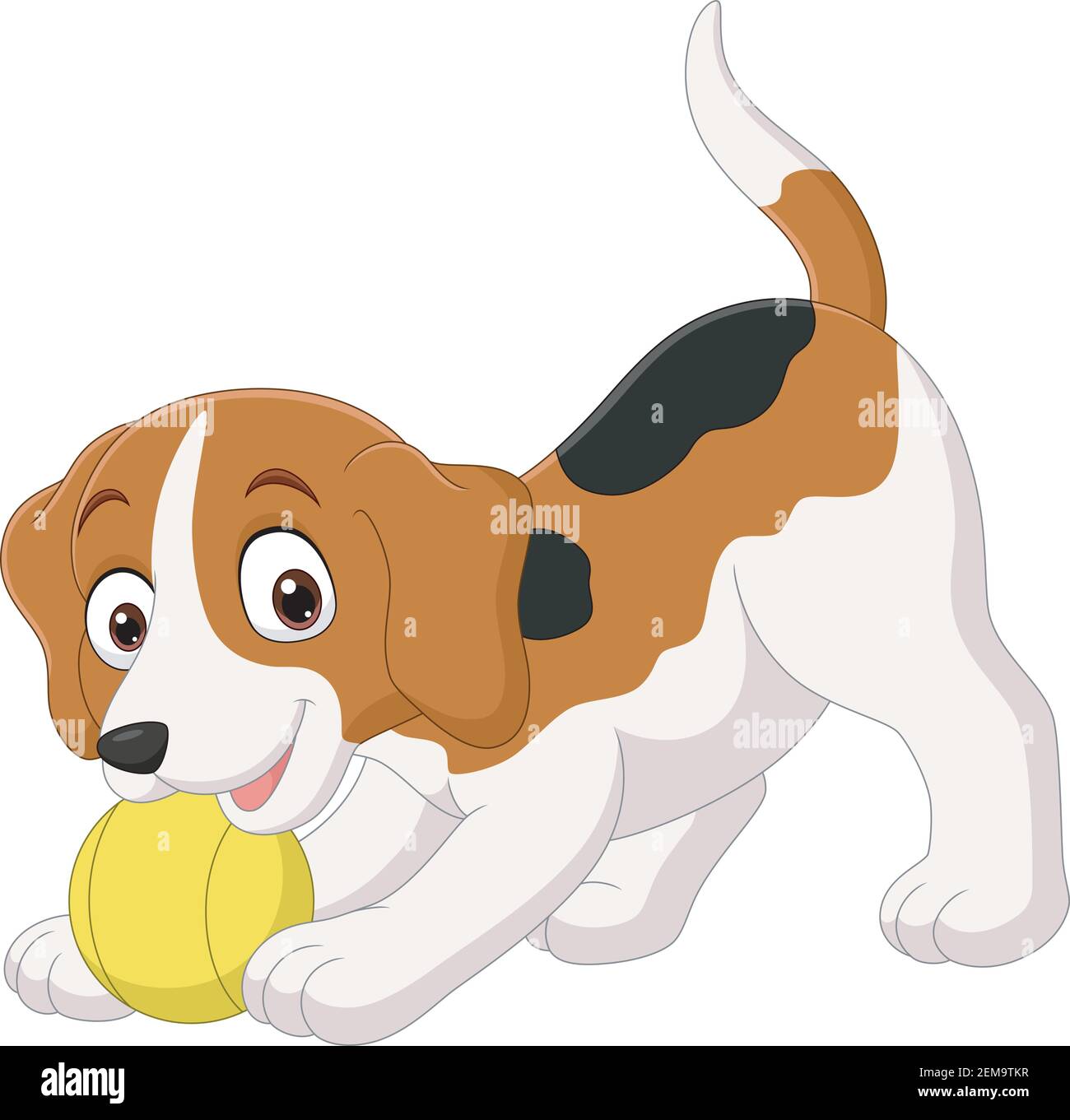 Perro con pelota Imágenes recortadas de stock - Alamy